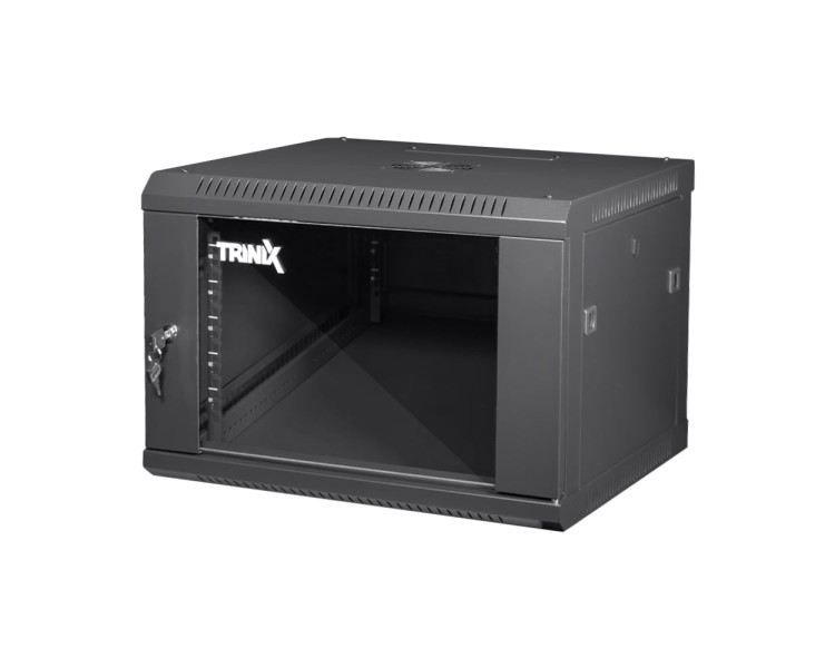 Комутаційна шафа Trinix TRX-6U/600x600x370 Black