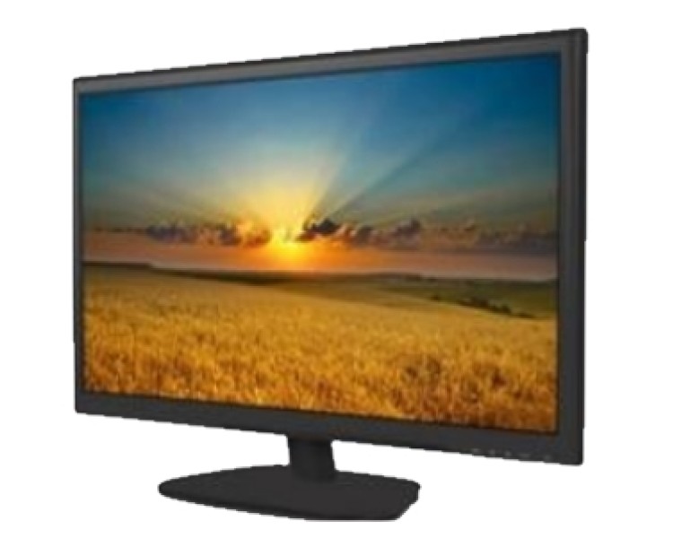 DS-D5022QE-B 22 "LED Monitor