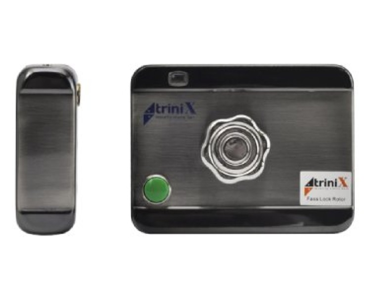 Fass Lock Rotor Електромоторний замок