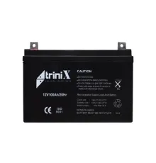 Trinix Акумулятор 12В 100А/г