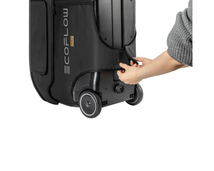 EcoFlow DELTA Pro Bag Сумка