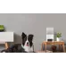 PETCUBE BITES 2 LITE BL10US IP камера