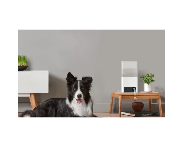 PETCUBE BITES 2 LITE BL10US IP камера