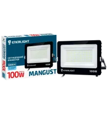 ENERLIGHT MANGUST Прожектор світлодіодний 100Вт 6500K