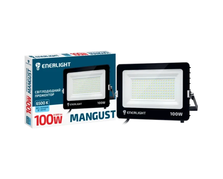 ENERLIGHT MANGUST Прожектор світлодіодний 100Вт 6500K