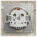 Schneider Electric Asfora EPH2900123 РОЗЕТКА З ЗАЗЕМЛЕННЯМ