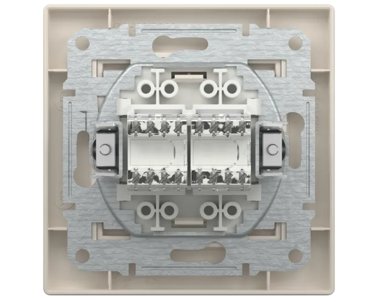 Schneider Electric Asfora EPH4400123 РОЗЕТКА КОМП'ЮТЕРНА RJ45 UTP КАТ. 5Е ПОДВІЙНА
