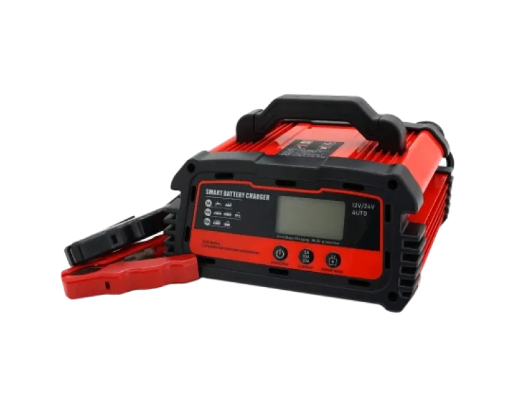 DEMUDA 12V/24V (WET,AGM,GEL) Автоматичний ЗП для акумулятора