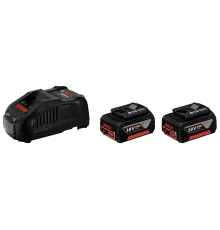 Bosch (1.600.A00.B8J) Набiр акумулятор 18 В 5,0 Аг + ЗП