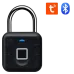 Via Security VL-1F/TB зі зчитувачем відбитка пальцю Замок навісний