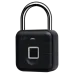 Via Security VL-1F/TB зі зчитувачем відбитка пальцю Замок навісний