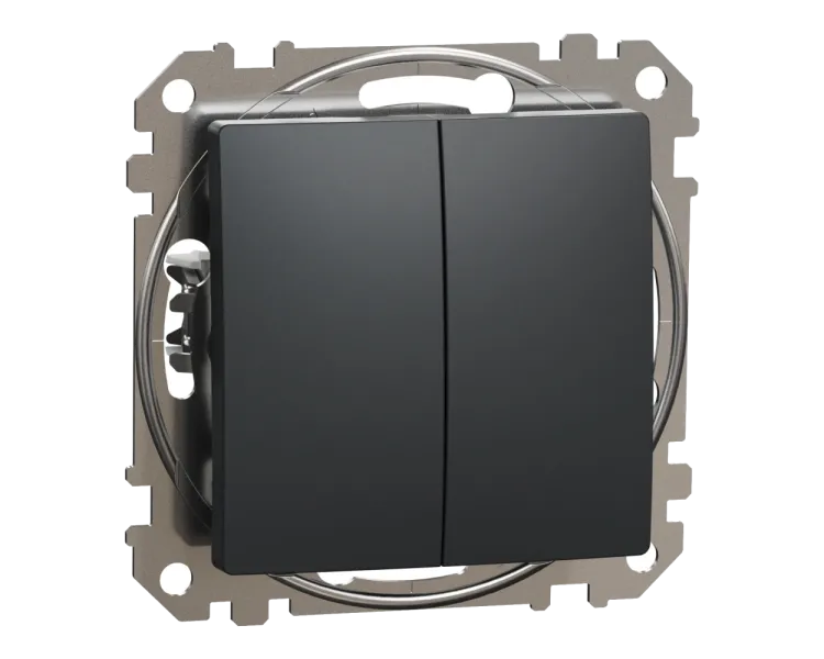 Schneider Electric Sedna Design & Elements SDD214105 Двоклавішний вимикач