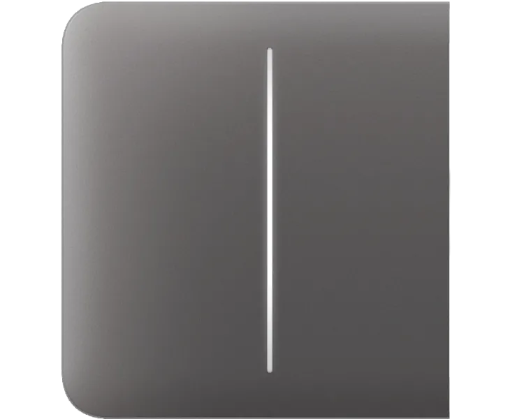 Ajax SideButton (2-gang) [55] grey Кнопка