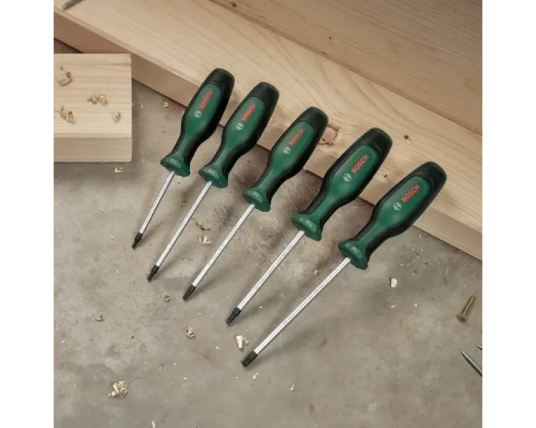 Bosch Torx10-30 (1600A02BX6) 6 шт Набір викруток