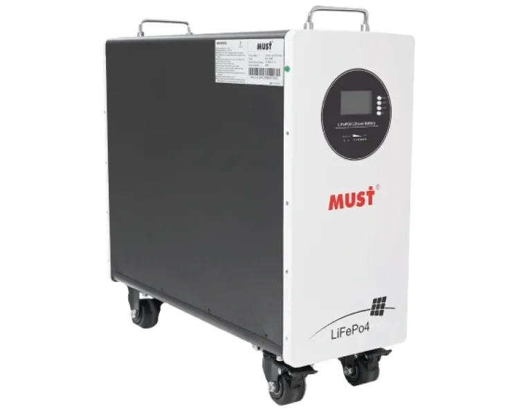 Must LP21-48300 51.2В 300А•г Літієва акумуляторна батарея