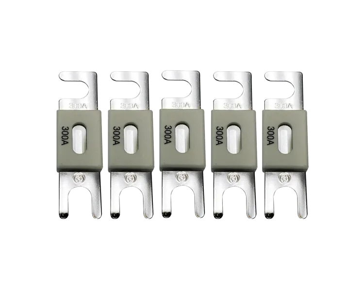Victron Energy ANL-fuse 300A/80V (5 pc) Запобіжник