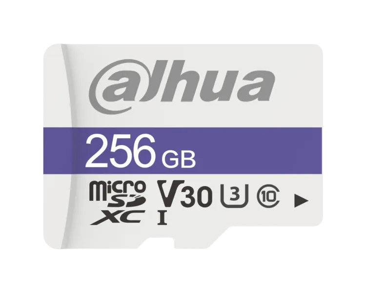 Dahua DHI-TF-C100/256GB Карта пам'яті microSD