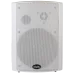 CMX WSK-640CSW White Настінний гучномовець