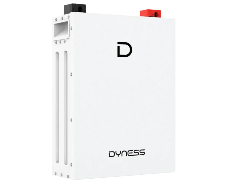 Dyness DL5.0F 51.2V 100AH Літієва акумуляторна батарея
