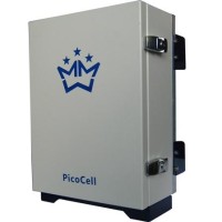 PicoCell 1800 SXV